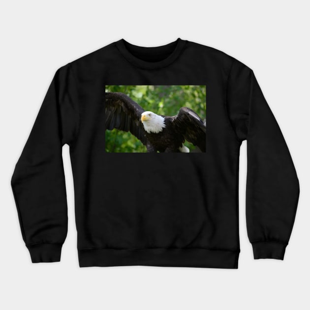 Wings Crewneck Sweatshirt by gdb2